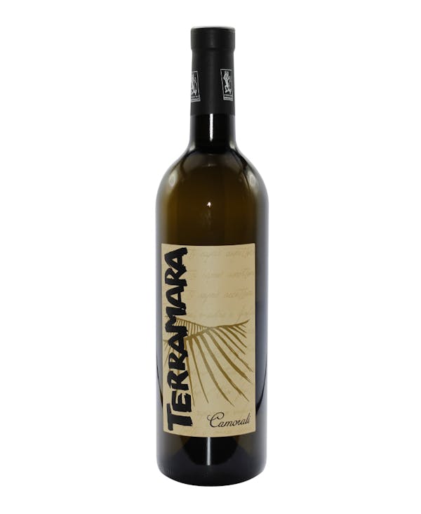 MALVASIA COLLI PIACENTINI Terramara